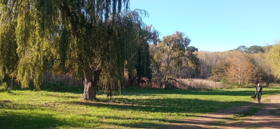 To Let 1 Bedroom Property for Rent in Constantia Western Cape